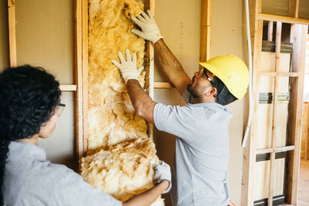 Best Residential Insulation Services  in Eufaula, AL