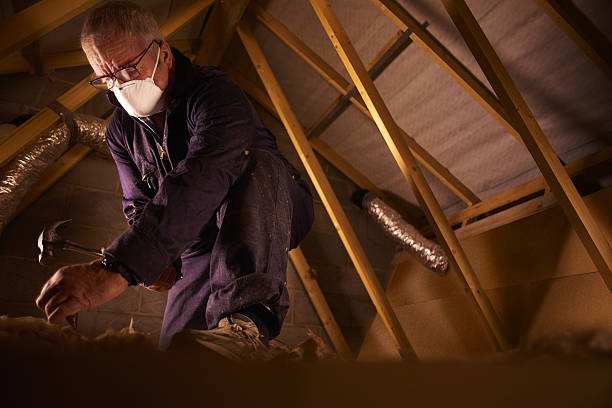 Insulation Inspection Services in Eufaula, AL