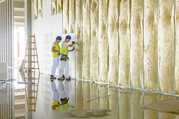 Best Cellulose Insulation  in Eufaula, AL